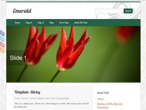 Emerald WordPress Theme